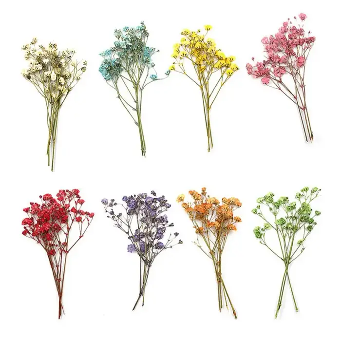 Charmants Bouquets de fleurs séchées portables