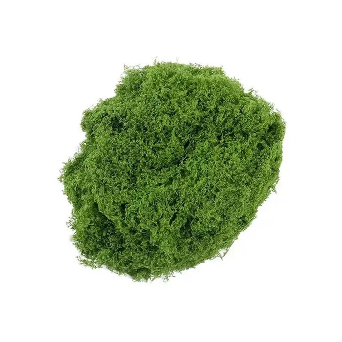 Plantes vertes artificielles 500/30G, mousse éternelle, mini-paysage, fausse herbe, artisanat DIY, d