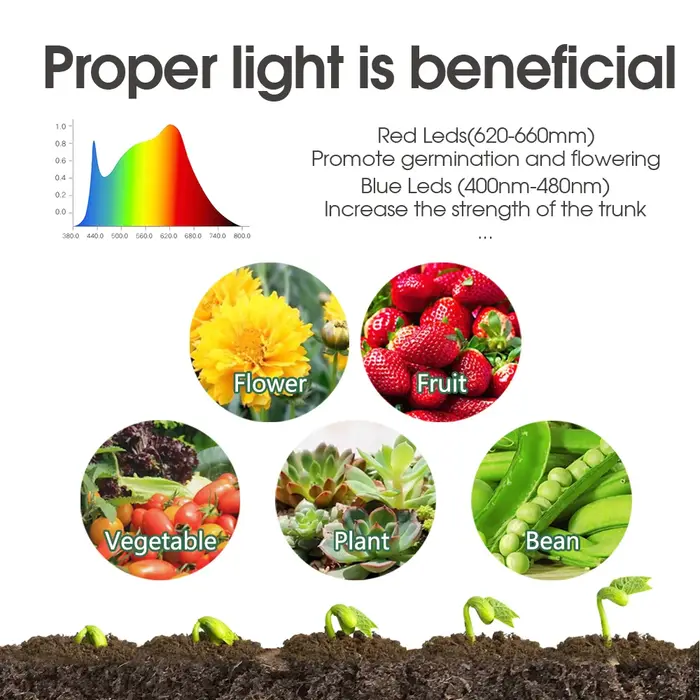 Graines Starter Germination Box Réglable 8-4 Perles LED Grow Lights Green Propagation Growing Contai