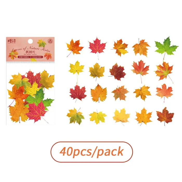 Autocollants transparents en PET pour plantes, autocollants décoratifs DIY en forme de feuilles pour