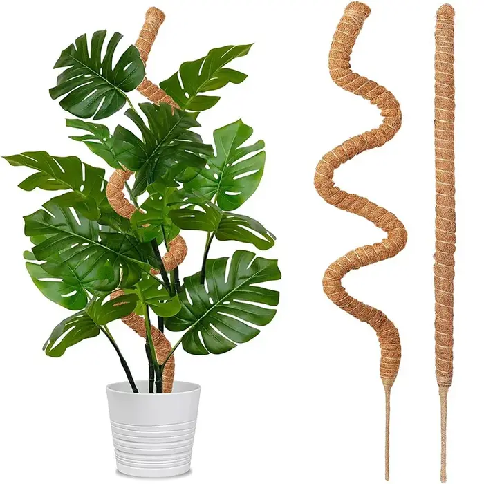 Échafaudage de plantes déformables