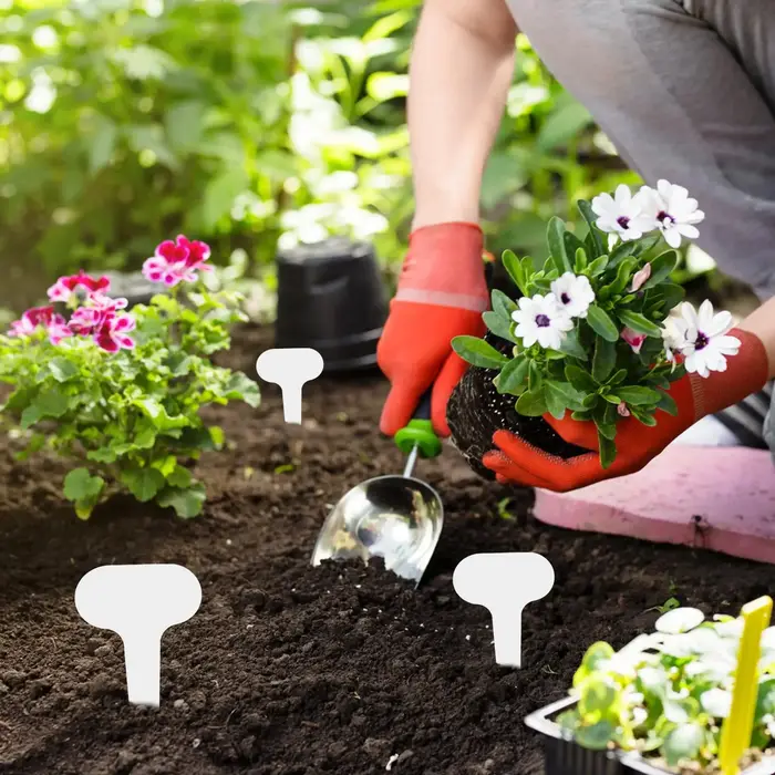 100 étiquettes de jardin blanches