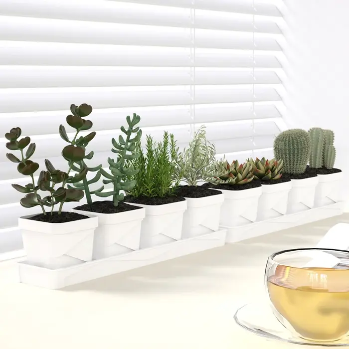 Pot à succulentes minimaliste nordique avec plateau