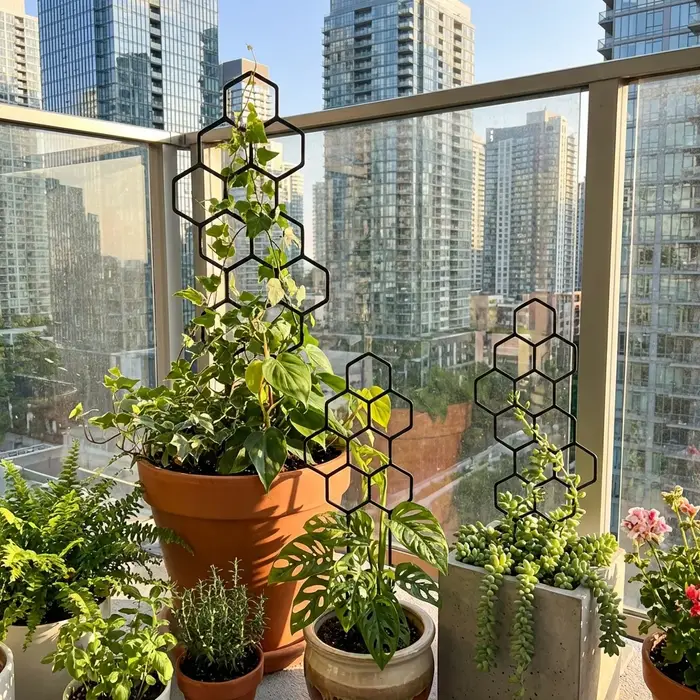 Deux supports de formation pour plantes grimpantes