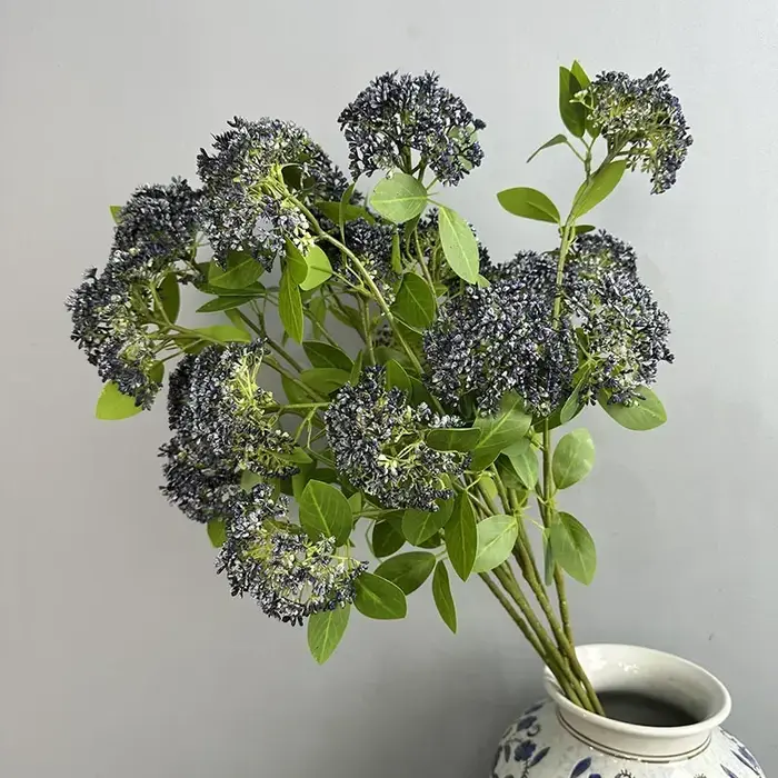 Simulation de plantes de Fruits à huit trésors