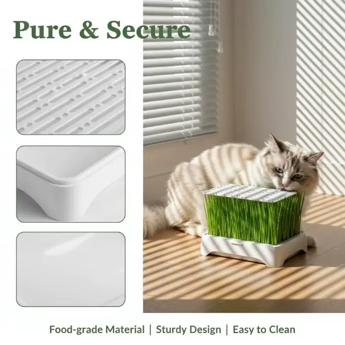 Pot de culture hydroponique pour herbe à chat, culture sans terre, pot de semis de blé, dispositif h