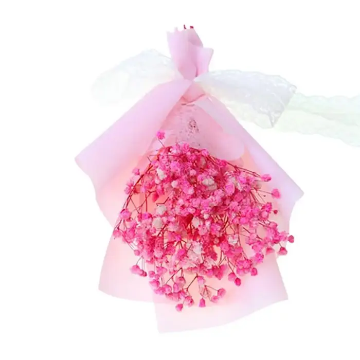 Fleurs séchées de gypsophile pour cadeaux, fleurs romantiques, décoration florale naturelle, aide te