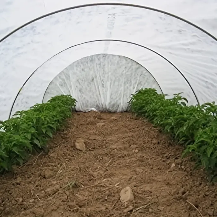 Couverture de protection des plantes en tissu non tissé épaissi