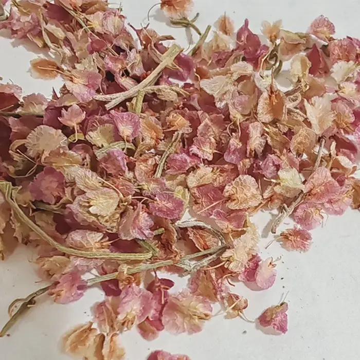 500 g/ensemble plante naturelle fleurs séchées fête de mariage décoration de la maison rose violet c