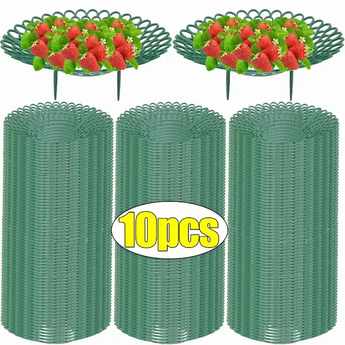 Support pour plantes à fraises
