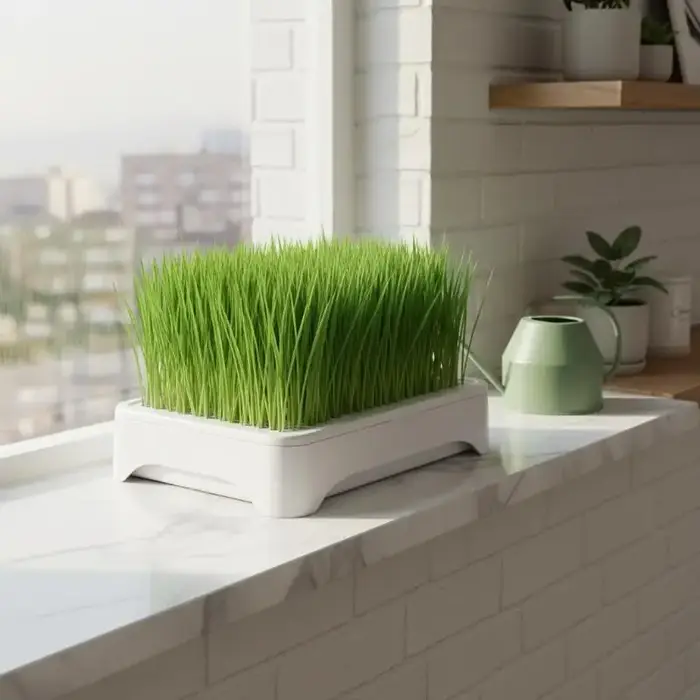 Bac de culture hydroponique pour herbe à chat, pot de semis de blé sans terre, dispositif hydroponique pour herbe pour chatons, pot de culture horticole