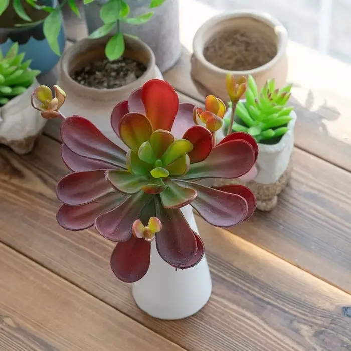 Plante succulente artificielle réaliste au toucher authentique