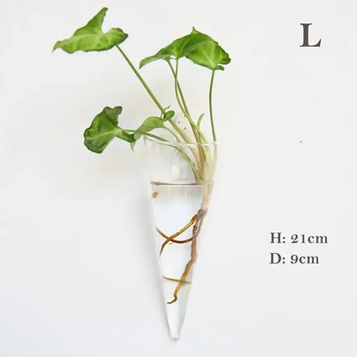 Plantes hydroponiques purifient la maison