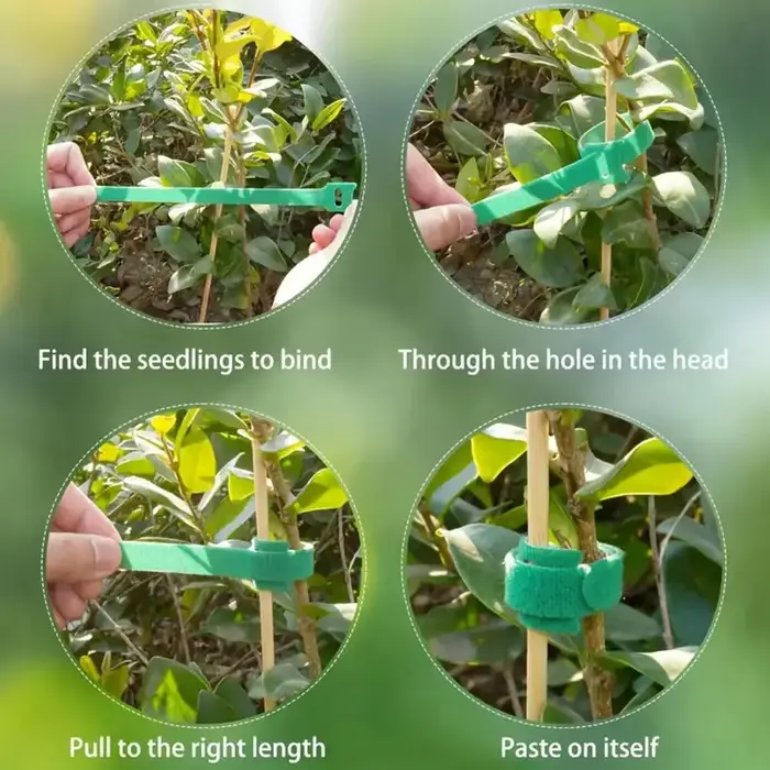 Attaches de jardin vertes 100 pièces