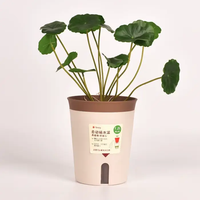 Pot de fleur hydroponique paresseux en plastique