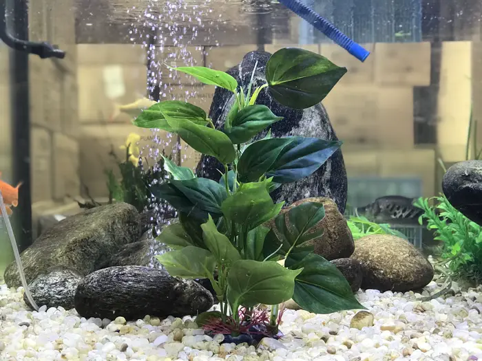 Plantes artificielles de décoration d'aquarium