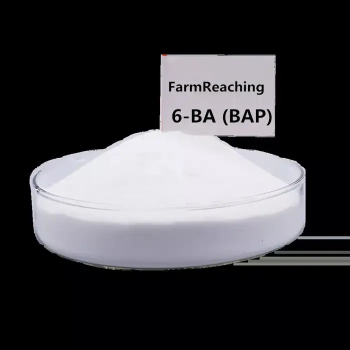 6-BA BAP favorise la croissance des plantes et la germination latérale, accélère la cicatrisation de