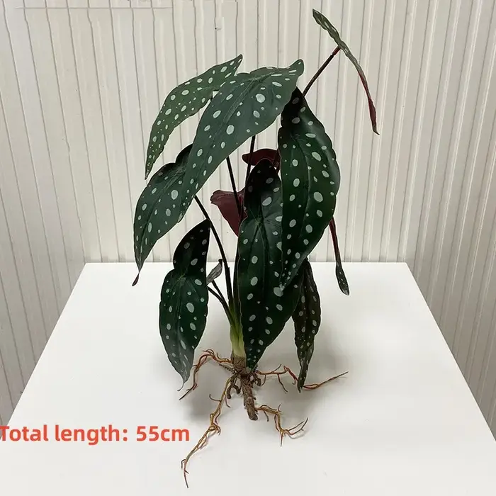 Fausses Plantes Artificielles