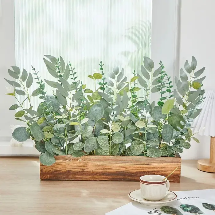 Tiges de feuilles d'eucalyptus