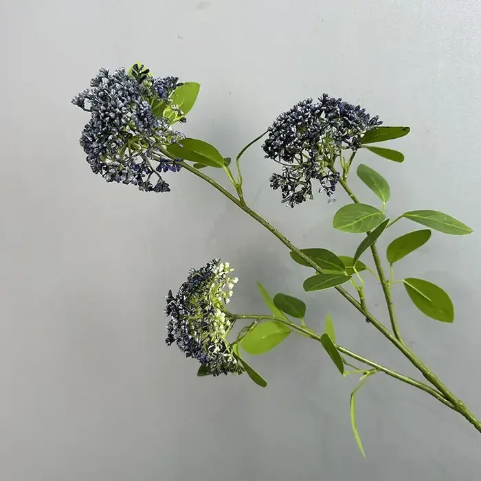 Simulation de plantes de Fruits à huit trésors