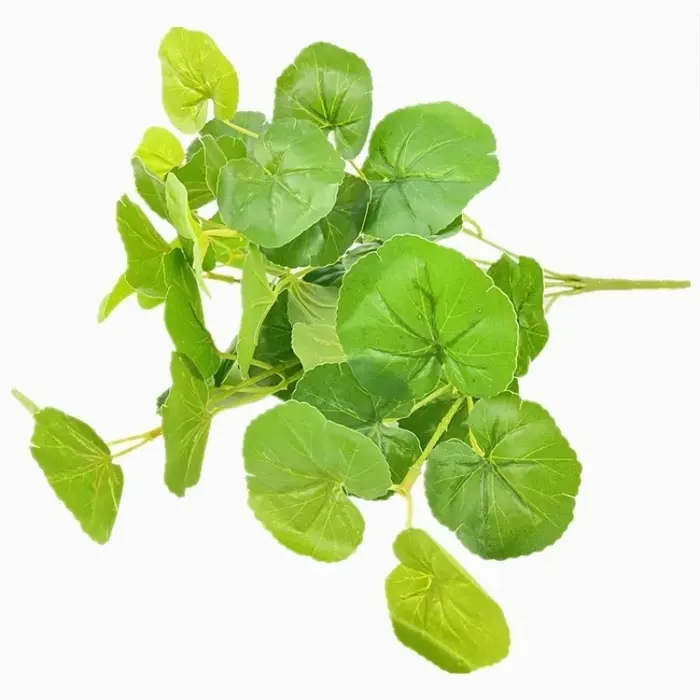 Bouquet de plantes artificielles en plastique d'aloès vert