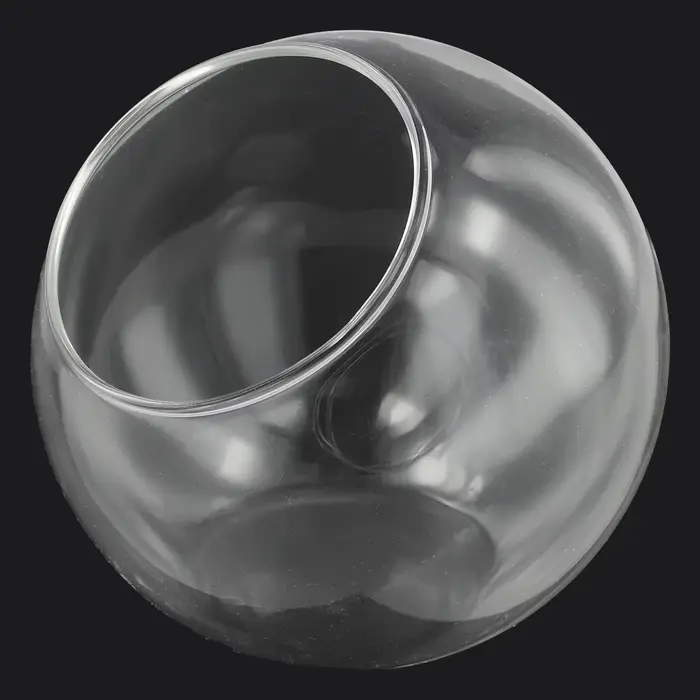 8/10/12 cm Micro paysage Vase en verre plante succulente Terrarium conteneur Pot de fleur