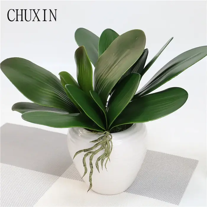 Plantes artificielles au toucher réel