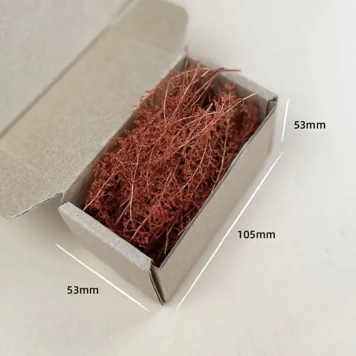 Kit de modèle d'herbe sèche