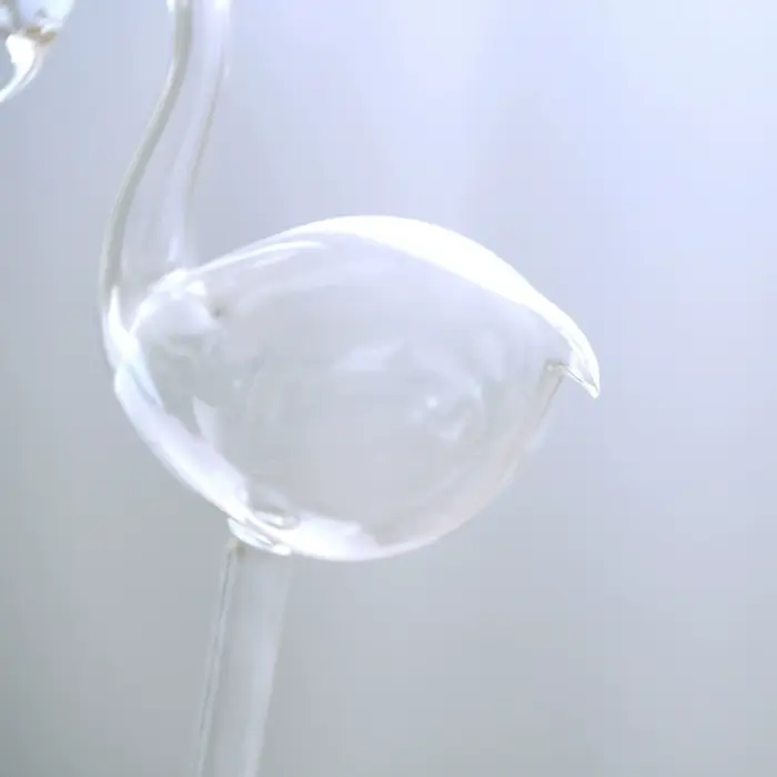 Dispositif d'Arrosage existent Transparent pour Plantes d'Nik, Élégant, 007