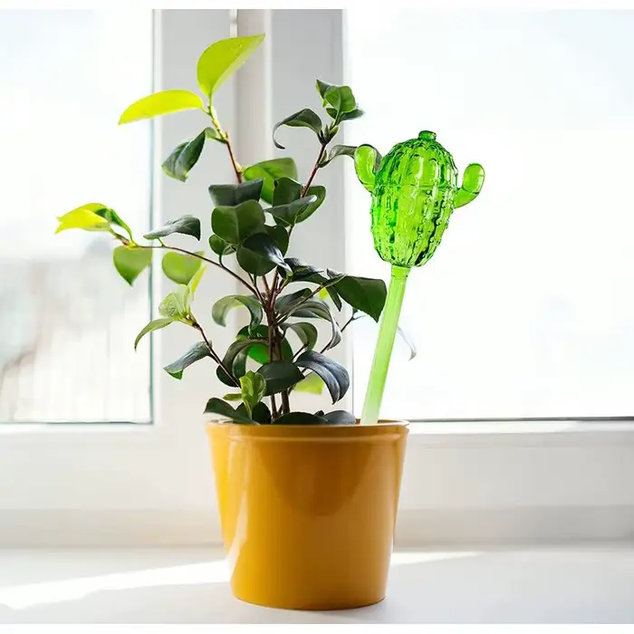 Distributeur d'eau pour plantes en verre