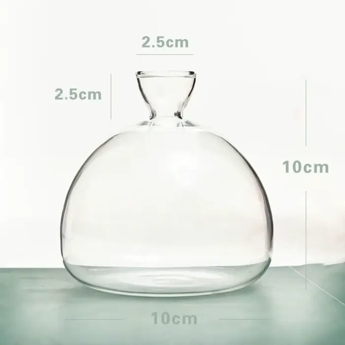 Kit de plantes en verre avec autocollants pour les amateurs de jardinage