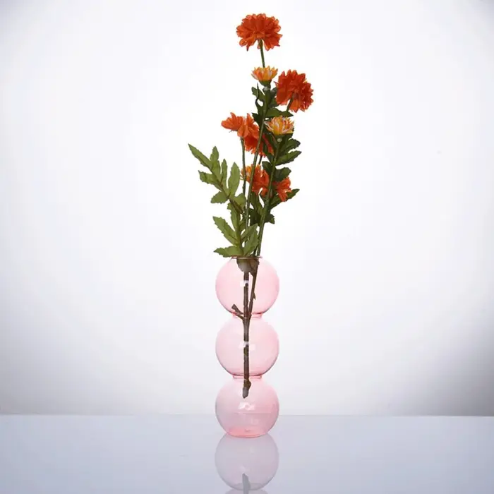 Vase à fleurs hydroponique en verre pour salle à manger
