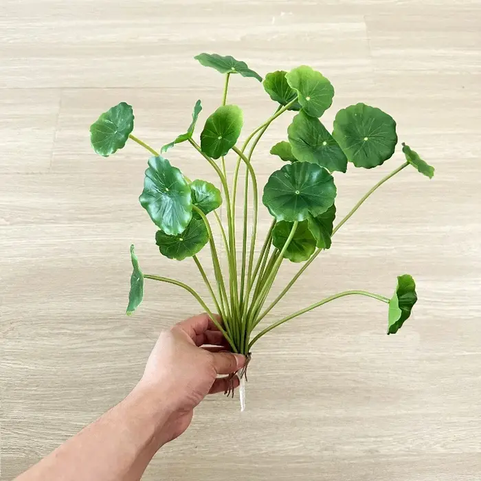 2 pièces de feuilles artificielles de Pilea Peperomioides