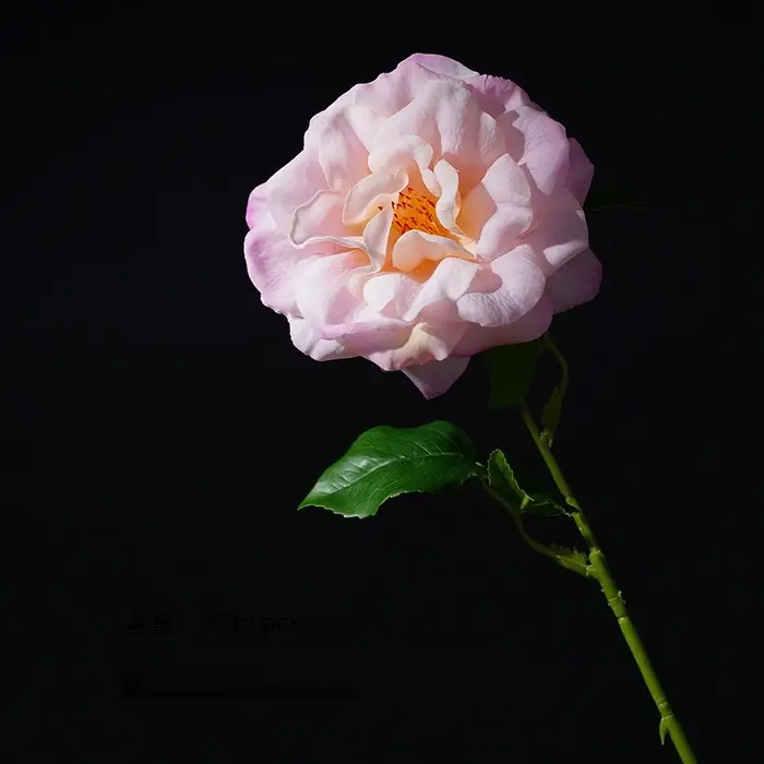 12 pièces de fleurs artificielles de haute qualité