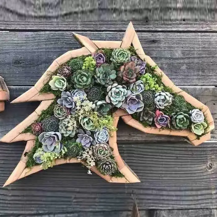 Pots de fleurs succulentes en bois en forme d'animal