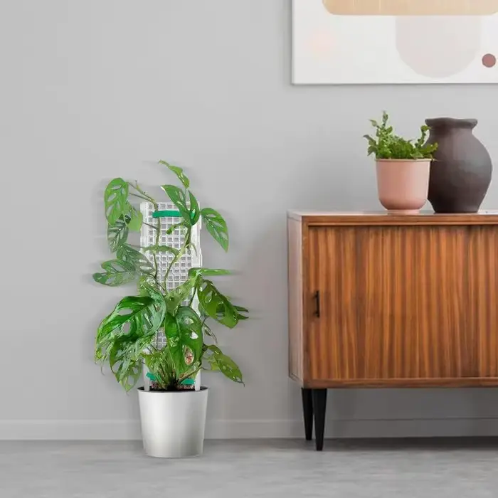 Support en plastique pour plantes vertes
