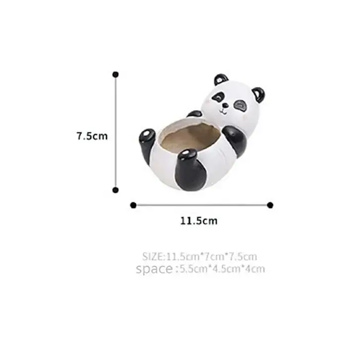 Pot de plantes panda mignon