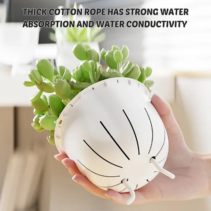 Vase à plantes hydroponiques avec corde en coton
