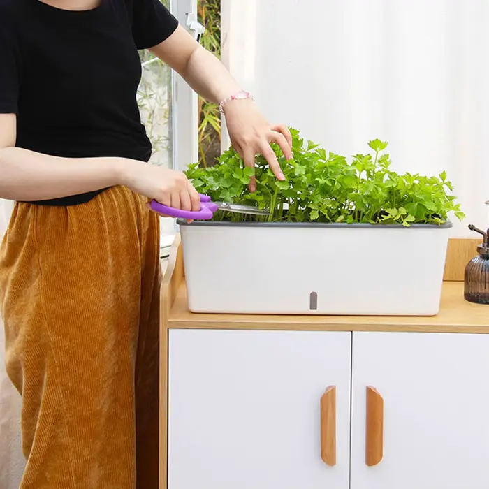 Pots de jardinière à arrosage automatique avec indicateur de niveau d'eau pratique