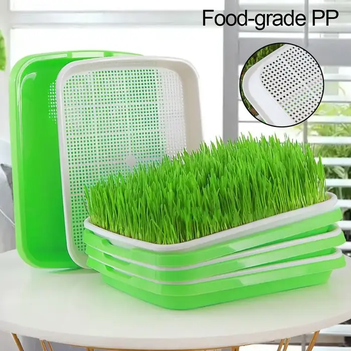Kit de germination hydroponique pour blé