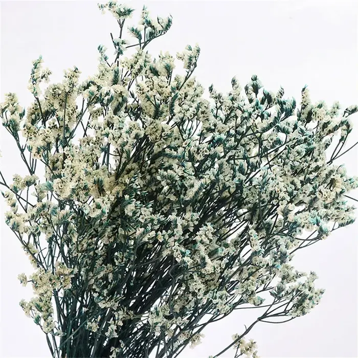 40-50cm, fleurs d'herbe en cristal séchées naturelles