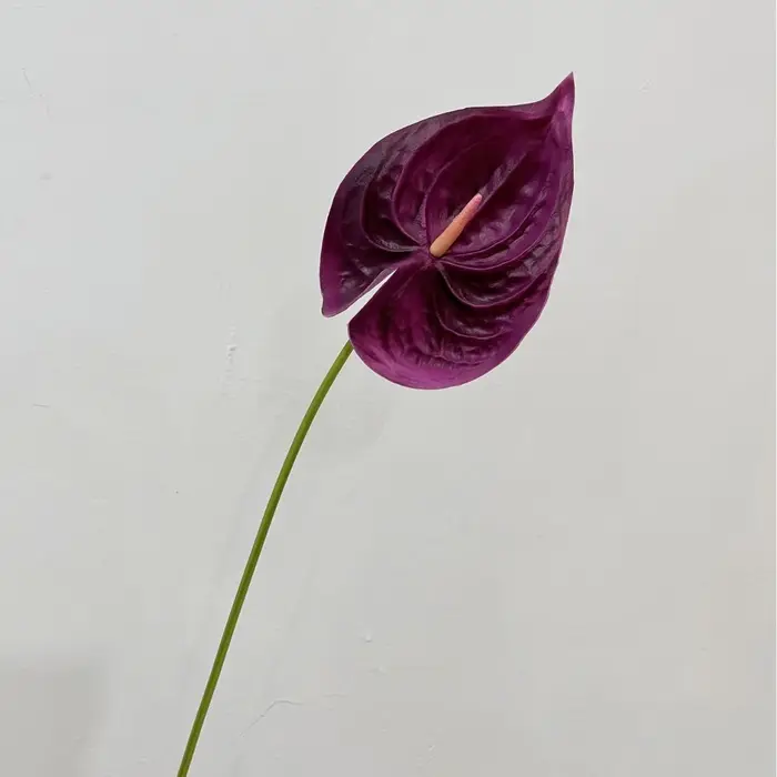 Plante artificielle Anthurium Peace Lily de haute qualité de 22,4 pouces pour la décoration murale f