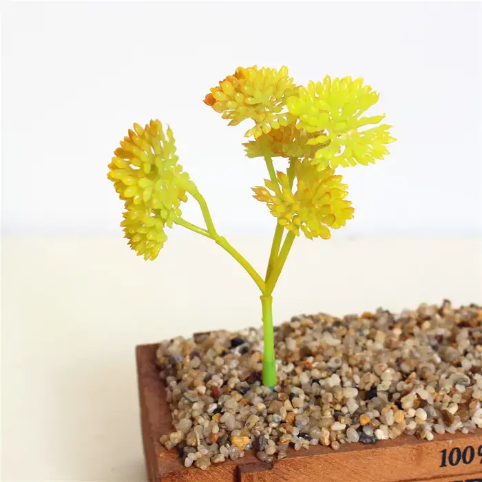 Mini plantes succulentes, hauteur = 13cm, jaune, bleu, violet, rouge, vert bricolage accessoires pou