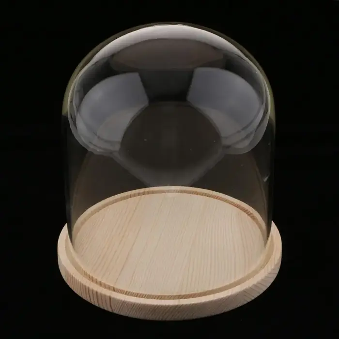 Pot en verre dôme avec Base en bois, Micro support de paysage, Vase de pièce maîtresse élégant pour 