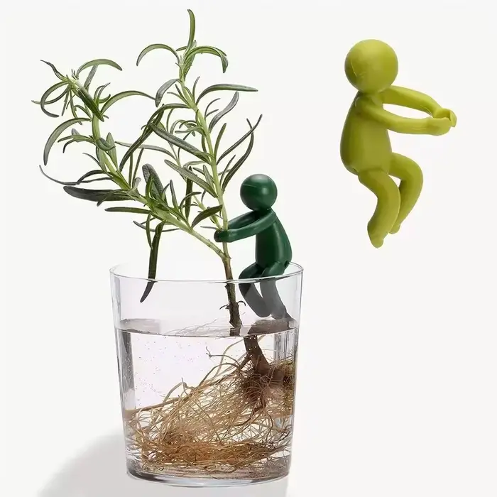 Cadre de Support pour plantes