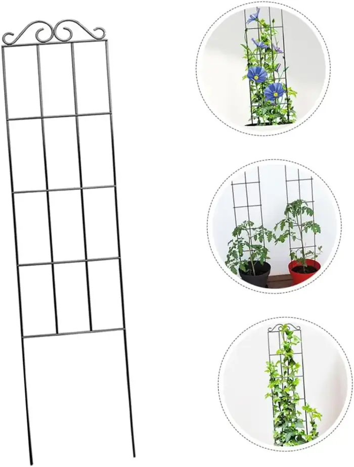 Cadre d'escalade en métal pour plantes grimpantes