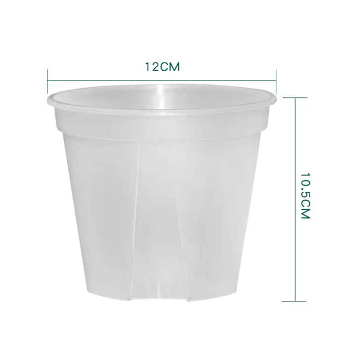 Pots d'orchidées en plastique transparent avec trous
