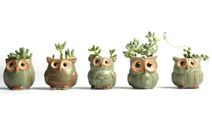 Pot de jardinière succulente mignon, jardinière de hibou en céramique en forme de hibou, Pot de fleu