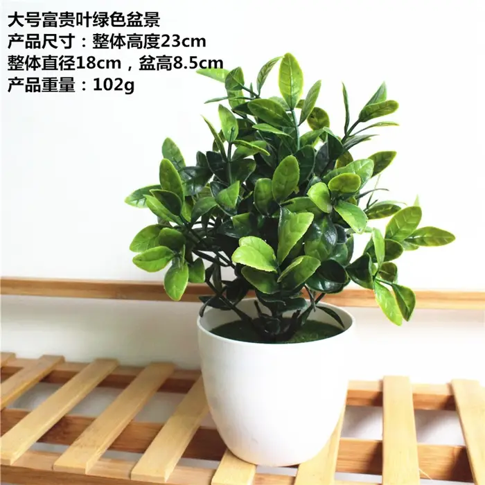 1 ensemble de plantes artificielles simulées succulentes herbe de Milan bonsaï en plastique blanc Pot de fleur accessoires de décoration pour la maison