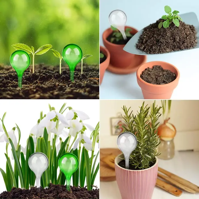 Ampoules d'arrosage automatique pour plantes